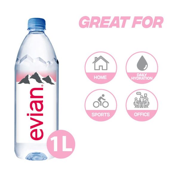 evian Natural Mineral Water, 1 L X 12